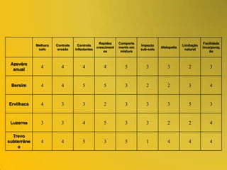 Ornithopus compressus