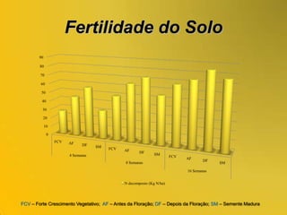  Tolera a secura e muito sensível ao encharcamento.