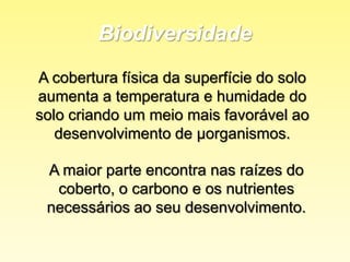 Nec. hídricas: 200 – 600 mm. 