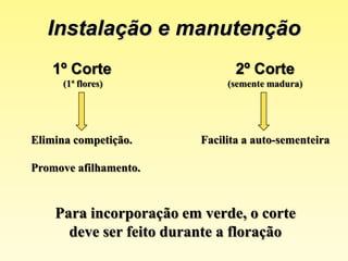  Densidade: 1 – 3 Kg/ha.