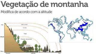 Coberturas vegetais do planeta e do brasil
