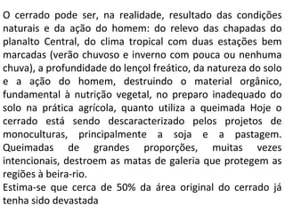O cerrado pode ser, na realidade, resultado das condições
naturais e da ação do homem: do relevo das chapadas do
planalto Central, do clima tropical com duas estações bem
marcadas (verão chuvoso e inverno com pouca ou nenhuma
chuva), a profundidade do lençol freático, da natureza do solo
e a ação do homem, destruindo o material orgânico,
fundamental à nutrição vegetal, no preparo inadequado do
solo na prática agrícola, quanto utiliza a queimada Hoje o
cerrado está sendo descaracterizado pelos projetos de
monoculturas, principalmente a soja e a pastagem.
Queimadas de grandes proporções, muitas vezes
intencionais, destroem as matas de galeria que protegem as
regiões à beira-rio.
Estima-se que cerca de 50% da área original do cerrado já
tenha sido devastada
 
