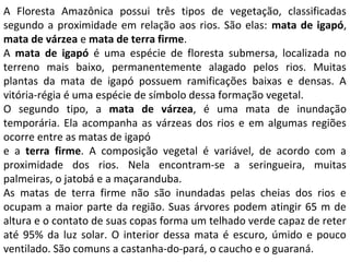 A Floresta Amazônica possui três tipos de vegetação, classificadas
segundo a proximidade em relação aos rios. São elas: mata de igapó,
mata de várzea e mata de terra firme.
A mata de igapó é uma espécie de floresta submersa, localizada no
terreno mais baixo, permanentemente alagado pelos rios. Muitas
plantas da mata de igapó possuem ramificações baixas e densas. A
vitória-régia é uma espécie de símbolo dessa formação vegetal.
O segundo tipo, a mata de várzea, é uma mata de inundação
temporária. Ela acompanha as várzeas dos rios e em algumas regiões
ocorre entre as matas de igapó
e a terra firme. A composição vegetal é variável, de acordo com a
proximidade dos rios. Nela encontram-se a seringueira, muitas
palmeiras, o jatobá e a maçaranduba.
As matas de terra firme não são inundadas pelas cheias dos rios e
ocupam a maior parte da região. Suas árvores podem atingir 65 m de
altura e o contato de suas copas forma um telhado verde capaz de reter
até 95% da luz solar. O interior dessa mata é escuro, úmido e pouco
ventilado. São comuns a castanha-do-pará, o caucho e o guaraná.
 