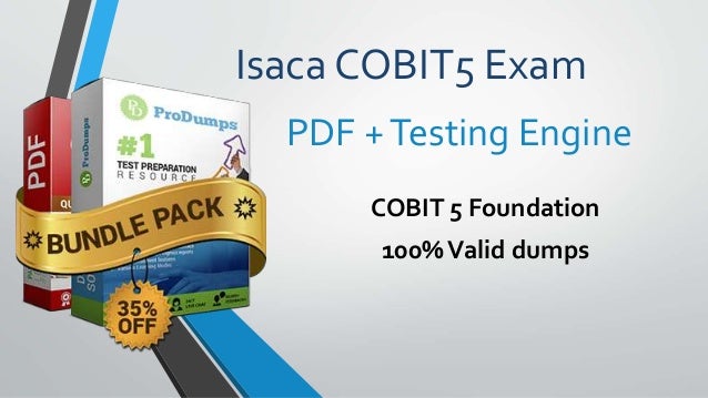 COBIT-2019 Prüfungs