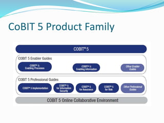 CoBIT 5 Product Family
 