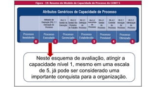 Neste esquema de avaliação, atingir a
capacidade nível 1, mesmo em uma escala
de 5, já pode ser considerado uma
importante conquista para a organização.
 