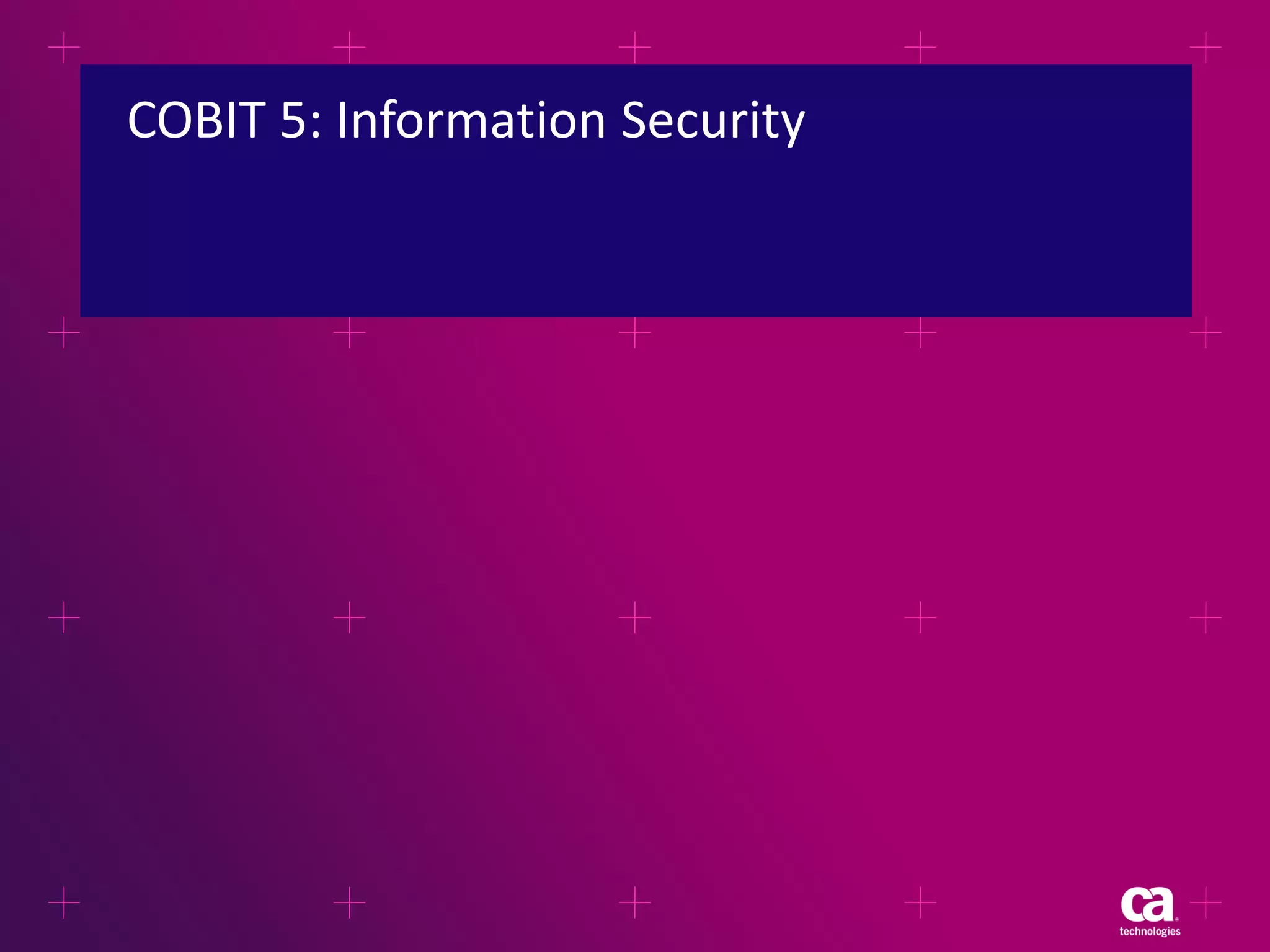 COBIT 5: Information Security

 