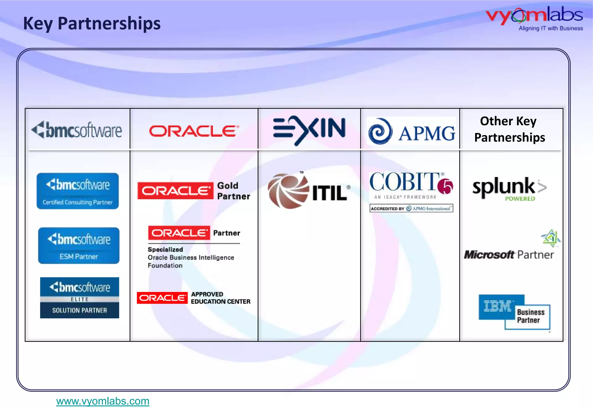 Key Partnerships

Other Key
Partnerships

www.vyomlabs.com

 