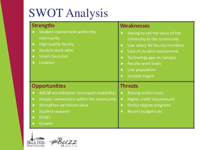 BHSU College of Business Marketing Plan 2011