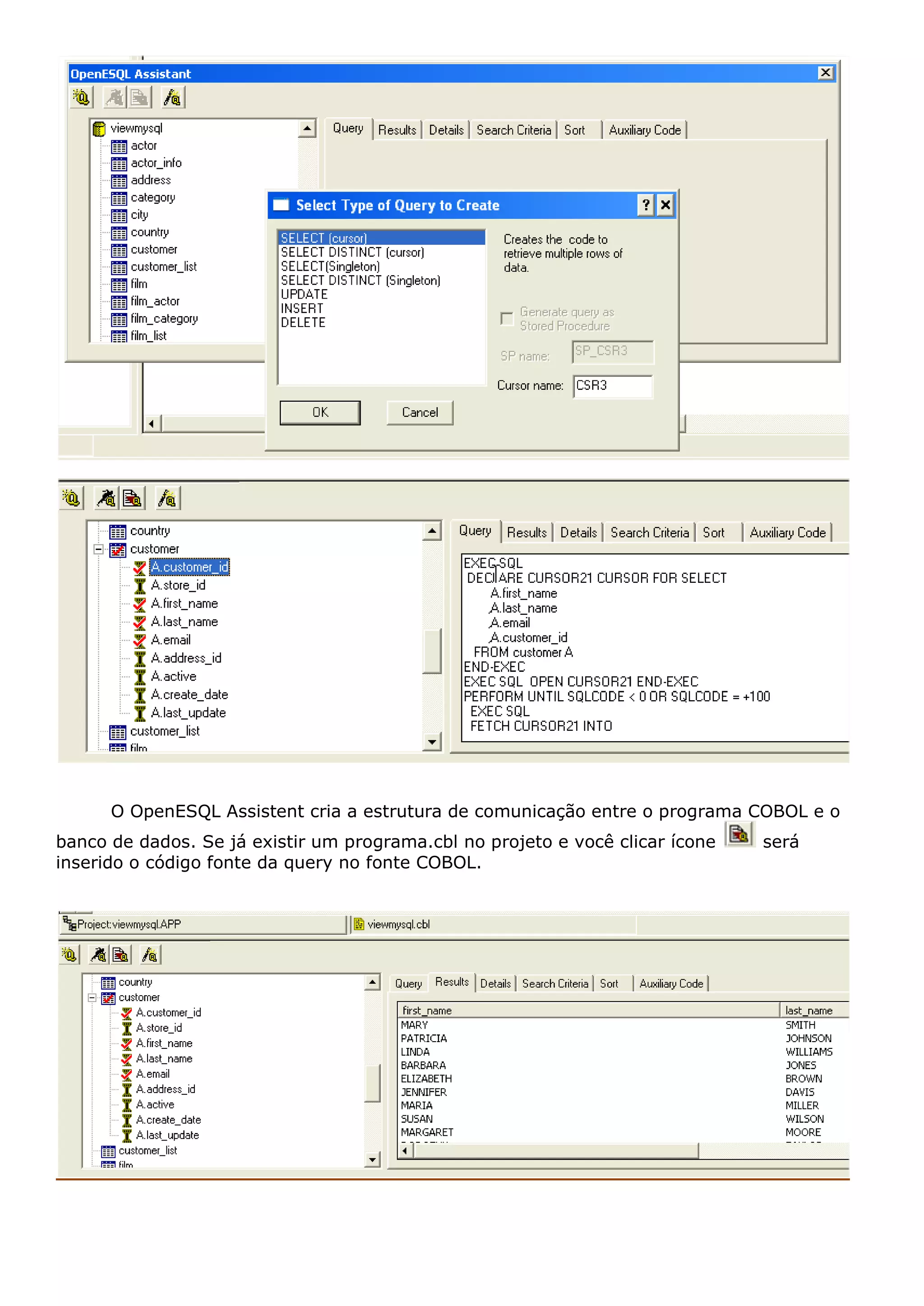 O OpenESQL Assistent cria a estrutura de comunicação entre o programa COBOL e o banco de dados. Se já existir um programa.cbl no projeto e você clicar ícone será inserido o código fonte da query no fonte COBOL. 