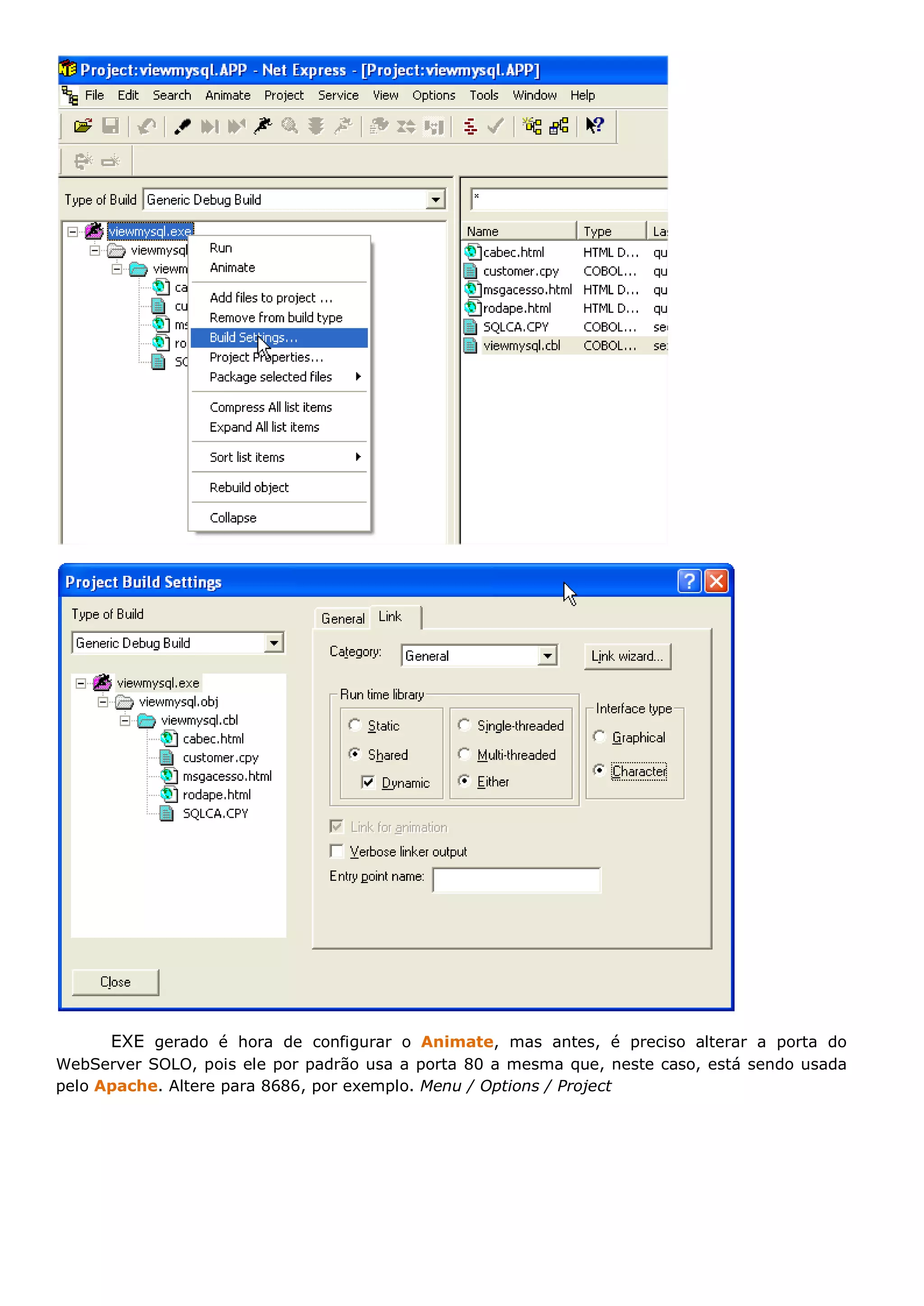 EXE gerado é hora de configurar o Animate, mas antes, é preciso alterar a porta do WebServer SOLO, pois ele por padrão usa a porta 80 a mesma que, neste caso, está sendo usada pelo Apache. Altere para 8686, por exemplo. Menu / Options / Project 