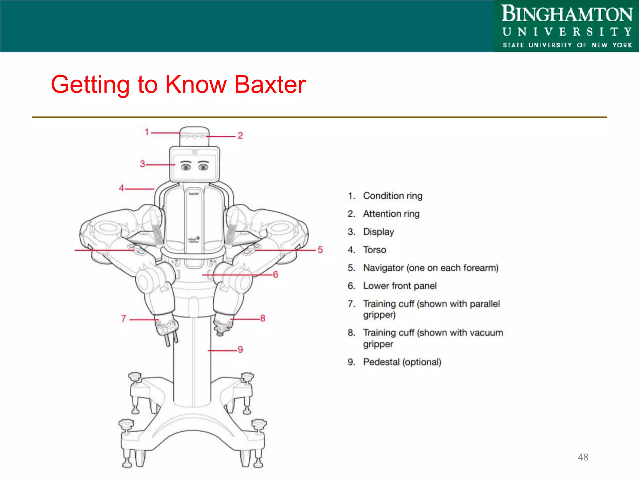 Getting to Know Baxter
48
 