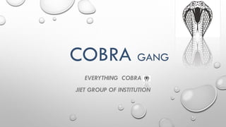 COBRA GANG
EVERYTHING COBRA
JIET GROUP OF INSTITUTION
 