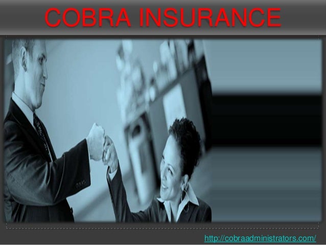 Cobra insurance