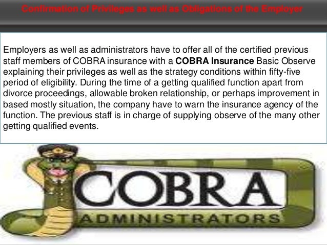 Cobra insurance