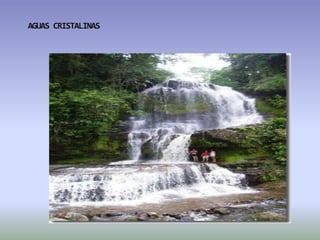 AGUAS CRISTALINAS