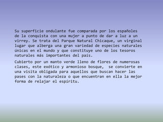 Su superficie ondulante fue comparada por los españoles de la conquista con una mujer a punto de dar a luz a un virrey. Se trata del Parque Natural Chicaque, un virginal lugar que alberga una gran variedad de especies naturales únicas en el mundo y que constituye uno de los tesoros naturales más importantes del país. Cubierto por un manto verde lleno de flores de numerosas clases, este exótico y armonioso bosque, se convierte en una visita obligada para aquellos que buscan hacer las pases con la naturaleza o que encuentran en ella la mejor forma de relajar el espíritu.