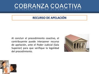 RECURSO DE APELACIÓN 
Al concluir el procedimiento coactivo, el 
contribuyente puede interponer recurso 
de apelación, ante el Poder Judicial (Sala 
Superior) para que verifique la legalidad 
del procedimiento. 
 
