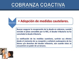 SEGUNDA 
• Adopción de medidas cautelares. 
Buscan asegurar la recuperación de la deuda en cobranza, cuando 
vencido el plazo concedido por la REC, el deudor tributario no ha 
cancelado la deuda tributaria. 
La notificación de las medidas cautelares, surtirán sus efectos 
desde el momento de su recepción y señalará cualesquiera de los 
bienes y/o derechos del deudor tributario, aún cuando éstos se 
encuentren en poder de un tercero. 
 