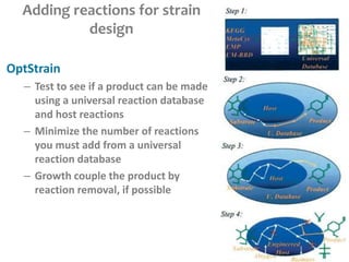 Adding reactions for strain
design
OptStrain
– Test to see if a product can be made
using a universal reaction database
and host reactions
– Minimize the number of reactions
you must add from a universal
reaction database
– Growth couple the product by
reaction removal, if possible
 