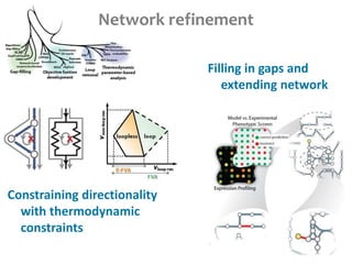 Constraining directionality
with thermodynamic
constraints
Network refinement
Filling in gaps and
extending network
 