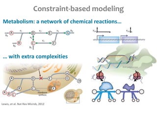 Constraint-based modeling
Metabolism: a network of chemical reactions…
… with extra complexities
Lewis, et al. Nat Rev Microb, 2012
 