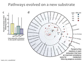 Pathways evolved on a new substrate
Lewis, et al., unpublished
 
