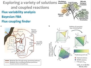 Exploring a variety of solutions
and coupled reactions
Flux variability analysis
Bayesian FBA
Flux coupling finder
Lewis, et al. Nat Rev
Microb, 2012
 