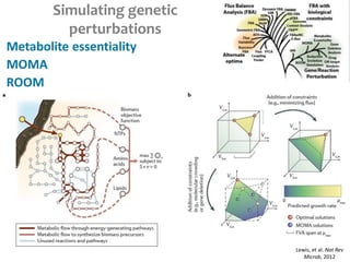 Simulating genetic
perturbations
Metabolite essentiality
MOMA
ROOM
Lewis, et al. Nat Rev
Microb, 2012
 