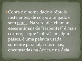 Cobra é o nome dado a répteis
rastejantes, de corpo alongado e
sem patas. Na verdade, chamar
esses animais de “serpentes” é mais
correto, já que “cobra”, em alguns
países, é uma palavra usada
somente para falar das najas,
encontradas na África e na Ásia.
 