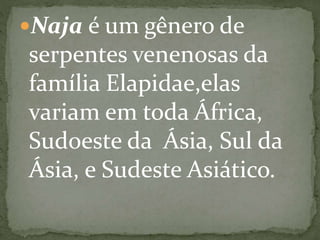 Naja é um gênero de
serpentes venenosas da
família Elapidae,elas
variam em toda África,
Sudoeste da Ásia, Sul da
Ásia, e Sudeste Asiático.
 