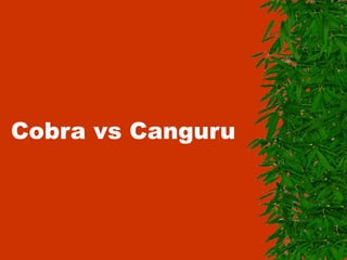 Cobra vs Canguru
 