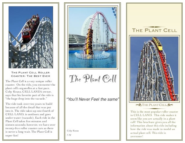 coby kranz science brochure pages