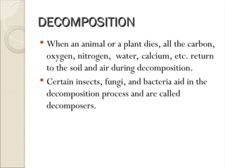 Understanding the Carbon-Oxygen Cycle: Photosynthesis, Respiration ...