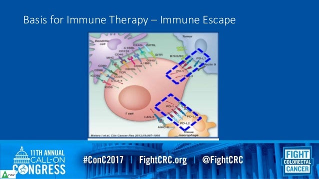 Immunotherapy Journey for Colorectal Cancer Dr. Bao Lam