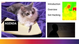 AGENDA
Introduction
Overview
Get Hacking
 