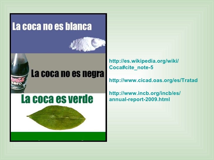 La hoja de coca