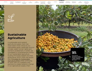 40
The Coca–Cola Company 2020 Business  ESG Report 40
The Coca–Cola Company 2020 Business  ESG Report
56%
of our priority
ingredients volume
was sourced sustainably
in 2020, compared
to 54% in 2019 and
8% in 2013
Sustainable
Agriculture
A sustainable and resilient
agricultural supply chain has
never been more critical to our
interrelated goals, especially around
climate, water, human rights and
women’s enablement. In 2020, we
completed a comprehensive review
of our Sustainable Agriculture
Guiding Principles (SAGP) and their
governance, and in 2021 we issued
new Principles for Sustainable
Agriculture (PSA) while continuing
to work with our suppliers and
partners to create systemic change
in our agricultural supply chain.
Our
Company
Chairman
 CEO
Message
Our
Priorities 
Progress
Our Response
to COVID-19
Contents Our Portfolio/
Reducing
Added Sugar
Water
Leadership
World
Without
Waste
Climate People 
Communities
Operations
Highlights
Data
Appendix
Reporting
Frameworks
 SDGs
Sustainable
Agriculture
 