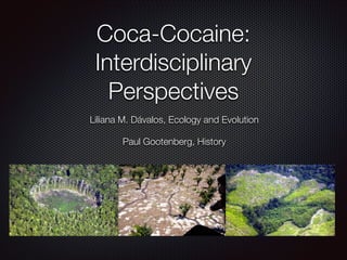 Coca-Cocaine: 
Interdisciplinary 
Perspectives 
Liliana M. Dávalos, Ecology and Evolution 
Paul Gootenberg, History 
 