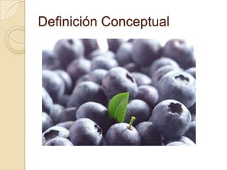 Definición Conceptual
 