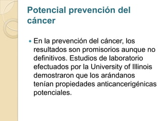 Potencial prevención del
cáncer

   En la prevención del cáncer, los
    resultados son promisorios aunque no
    definitivos. Estudios de laboratorio
    efectuados por la University of Illinois
    demostraron que los arándanos
    tenían propiedades anticancerigénicas
    potenciales.
 