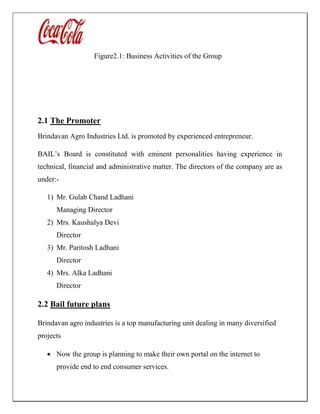 Figure2.1: Business Activities of the Group
2.1 The Promoter
Brindavan Agro Industries Ltd. is promoted by experienced entrepreneur.
BAIL’s Board is constituted with eminent personalities having experience in
technical, financial and administrative matter. The directors of the company are as
under:-
1) Mr. Gulab Chand Ladhani
Managing Director
2) Mrs. Kaushalya Devi
Director
3) Mr. Paritosh Ladhani
Director
4) Mrs. Alka Ladhani
Director
2.2 Bail future plans
Brindavan agro industries is a top manufacturing unit dealing in many diversified
projects
 Now the group is planning to make their own portal on the internet to
provide end to end consumer services.
 
