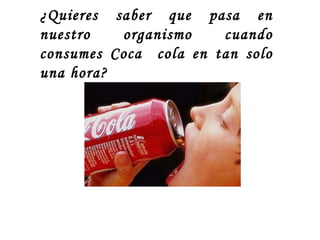 ¿Quieres saber que pasa en nuestro organismo cuando consumes Coca  cola en tan solo una hora? 