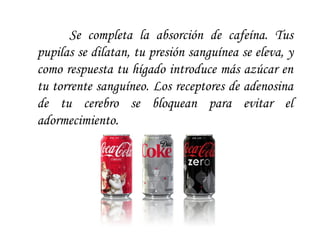 Se completa la absorción de cafeína. Tus pupilas se dilatan, tu presión sanguínea se eleva, y como respuesta tu hígado introduce más azúcar en tu torrente sanguíneo. Los receptores de adenosina de tu cerebro se bloquean para evitar el adormecimiento.  