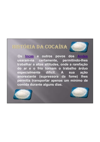 Os Incas e outros povos dos Andes
usaram-na certamente, permitindo-lhes
trabalhar a altas altitudes, onde a rarefação
do ar e o frio tornam o trabalho árduo
especialmente      difícil.  A   sua     ação
anorexiante (supressora da fome) lhes
permitia transportar apenas um mínimo de
comida durante alguns dias.
 