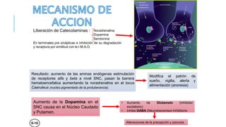 CANISMO DEACCIÓN
Liberación de Catecolaminas : Noradrenalina
Dopamina
Serotonina
En terminales pre sinápticas e inhibición de su degradación
y recaptura por similitud con la I.M.A.O.
Resultado: aumento de las aminas endógenas estimulación
de receptores alfa y beta a nivel SNC, pasan la barrera
hematoencefalica aumentando la noradrenalina en el locus
Caeruleus (nucleo pigmentado de la protuberancia).
Modifica el patrón de
sueño, vigilia, alerta y
alimentación (anorexia)
Aumento de la Dopamina en el
SNC causa en el Núcleo Caudado
y Putamen.
• Aumento de Glutamato (inhibidor
excitatorio)
• Inhibe GABA (Neurotransmisor Inhibitorio
Alteraciones de la precepción y psicosis
6-16
 