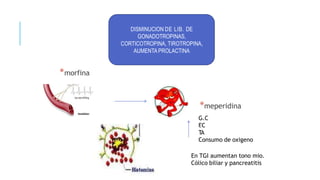 *morfina
DISMINUCION DE LIB. DE
GONADOTROPINAS,
CORTICOTROPINA, TIROTROPINA,
AUMENTA PROLACTINA
*meperidina
G.C
F
.C
T
A
Consumo de oxigeno
En TGI aumentan tono mio.
Cólico biliar y pancreatitis
 