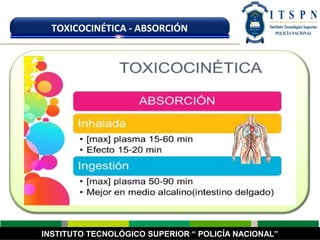 INSTITUTO TECNOLÓGICO SUPERIOR “ POLICÍA NACIONAL”
TOXICOCINÉTICA - ABSORCIÓN
 
