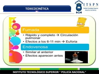 INSTITUTO TECNOLÓGICO SUPERIOR “ POLICÍA NACIONAL”
TOXICOCINÉTICA
 