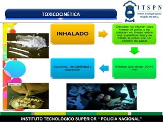 INSTITUTO TECNOLÓGICO SUPERIOR “ POLICÍA NACIONAL”
TOXICOCINÉTICA
 